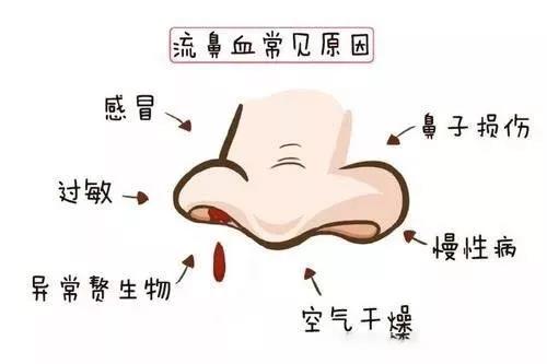 耳鼻喉夜间急诊