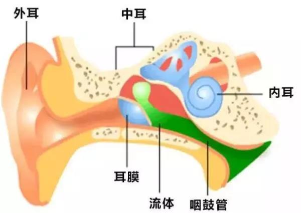 宝宝耳毒疼，可能是中耳炎