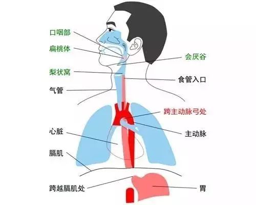 重庆耳鼻喉急诊医院