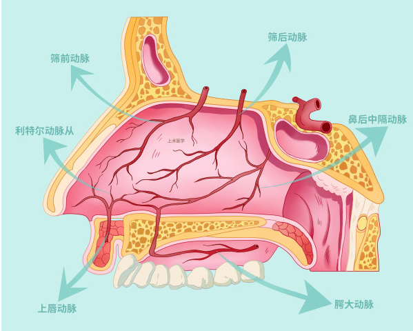 常见的出血点