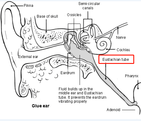 重庆耳鼻喉医院